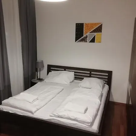 Krizikova 65 Apartment *