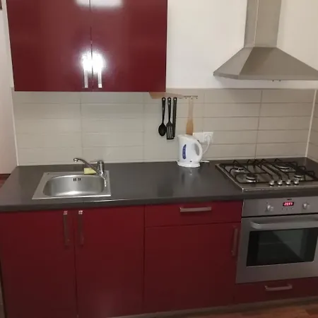 Apartment Krizikova 65 *